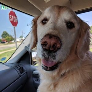 Meet your Posher, Evan